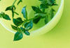 homeopathy