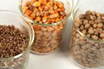 corn soy wheat