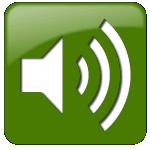 audio icon