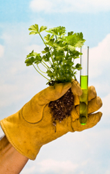 pesticides nature pesticides nature