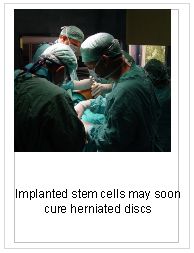 Stem Cells Repair Spinal Discs