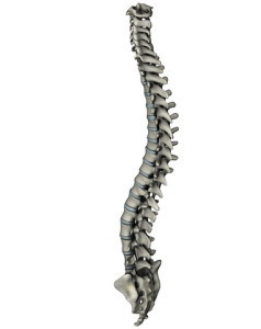 how to treat lordosis