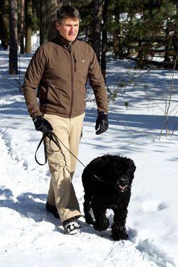 winter-dog-walk-vitd-250w Vitamin D During Winter