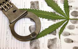 Marijuana Legal Marijuana Legal