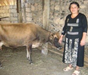 Kiva