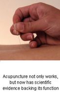 The Science Behind Acupuncture