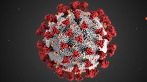 What’s REALLY Killing People with Coronavirus (And How to Survive)