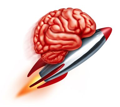 probiotics brain