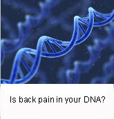 Bad Genes to Blame for Back Pain?