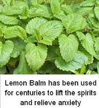 Lemon Balm for Sleep
