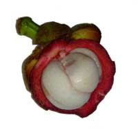Mangosteen: The Miracle Fruit?