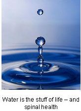 Dehydration and Back Pain