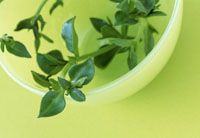 Top 8 Homeopathics for Muscle &amp; Joint Pain (VIDEO)