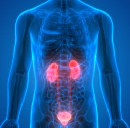 Lower Back Pain Due to Kidney Infection