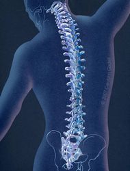 How can you treat osteoarthritis of the spine?