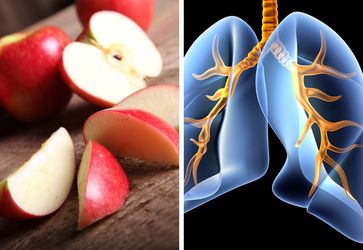 6 Essential Foods for Healthy Lungs