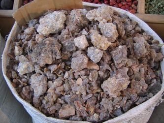 Ancient Indian Tree a Powerhouse Against Osteoarthritis and Inflammation ...