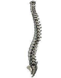 Living with Chronic Arthritis: Causes and Symptoms