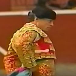 How a Famous Bullfighter Finally Defeated Joint Pain