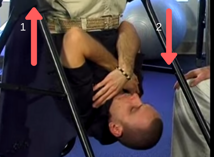 inverted squat inversion table exercises