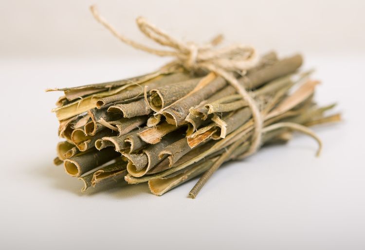 white willow extract white willow extract