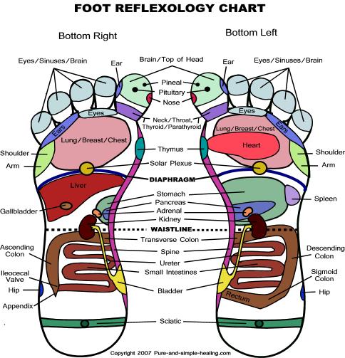 Foot Reflexology Chart 1