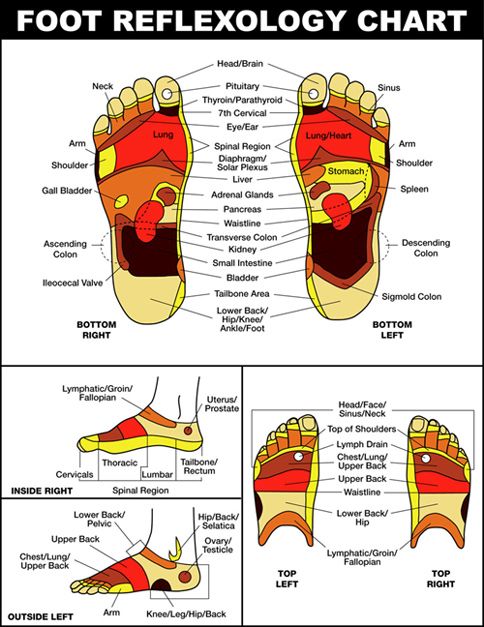 Foot Reflexology Chart 2