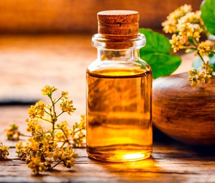 boswellia