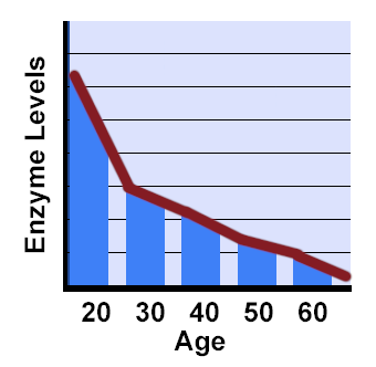 enzyme drop off levels 1