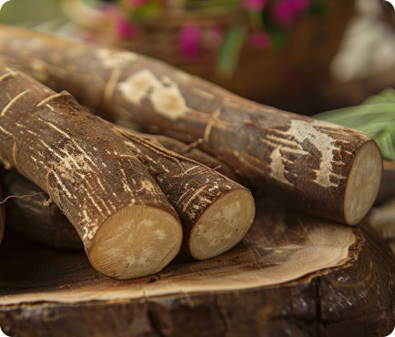 yucca