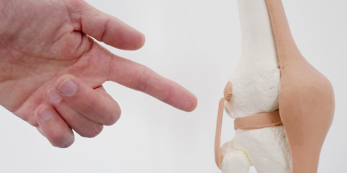 The Key to Strong, Pain-Free Joints: Healthy Chondrocytes
