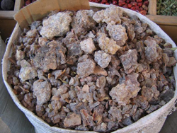 boswellia extract frankincense