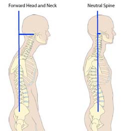 forward and neutral neck postures