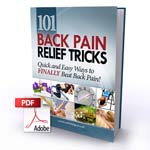 101 Back Pain Relief Tricks book