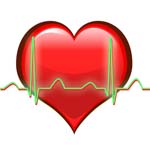 healthy heartbeat